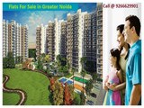 Flats For Sale in Greater Noida