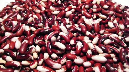 Top 10 Foods You Should Eat Daily 2015