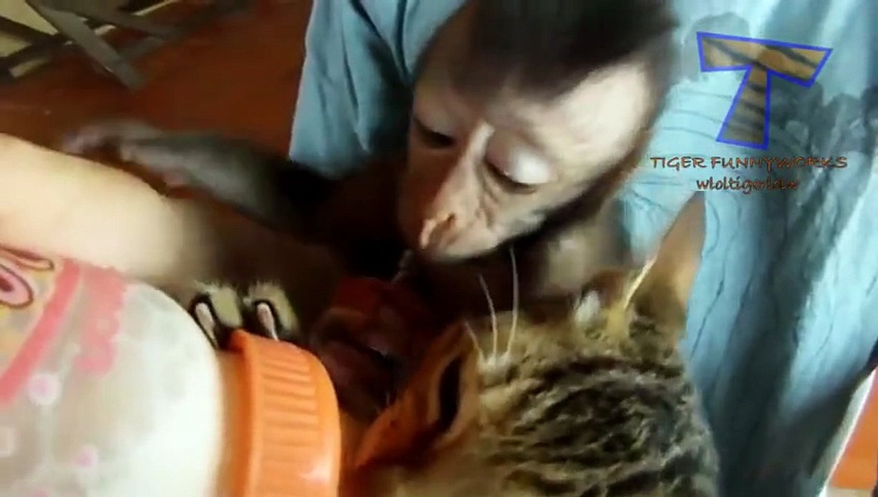 NUEVO! Funny baby animals drinking milk - Cute animal compilation zxvf