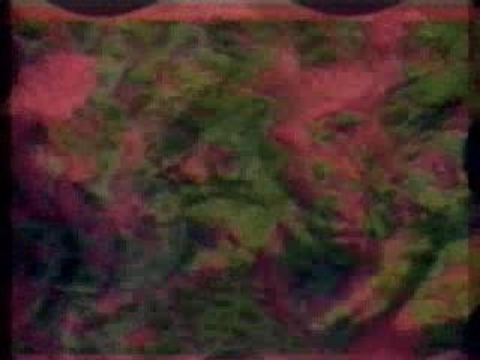 coldcut - Atomic MOOG
