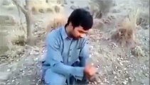 Pashto funny clip - funny pathan in action - Funny Videos Pashto