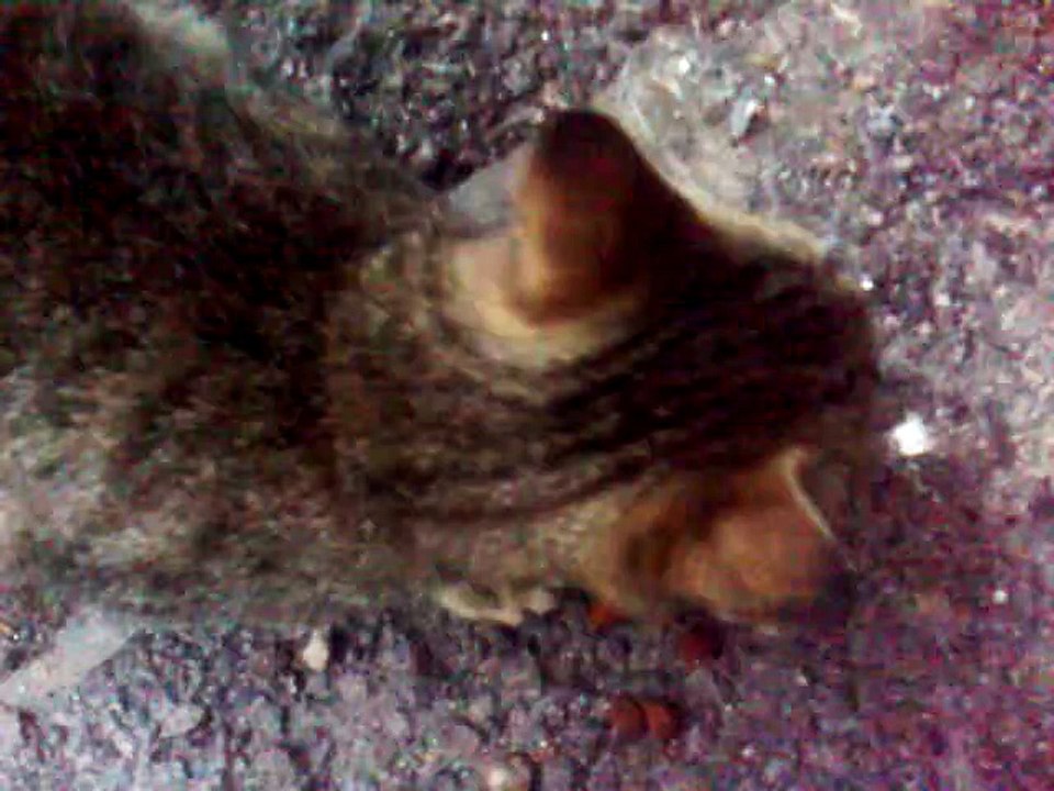 06102015153