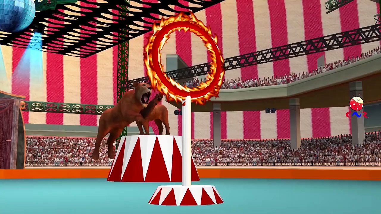 Lion Cartoon Fighting And Singing Finger Family Nursery Rhymes For Children 3D Animated