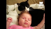 Cat gives baby a tongue bath-wEbwB1lCaUA