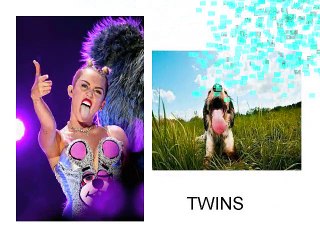 Miley Cyrus Dog In Heat MK-Ultra Programming
