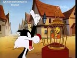 The Sylvester and Tweety Mysteries DONT POLKA ME Part 3