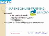 sap ehs online training in uk | sap ehs training