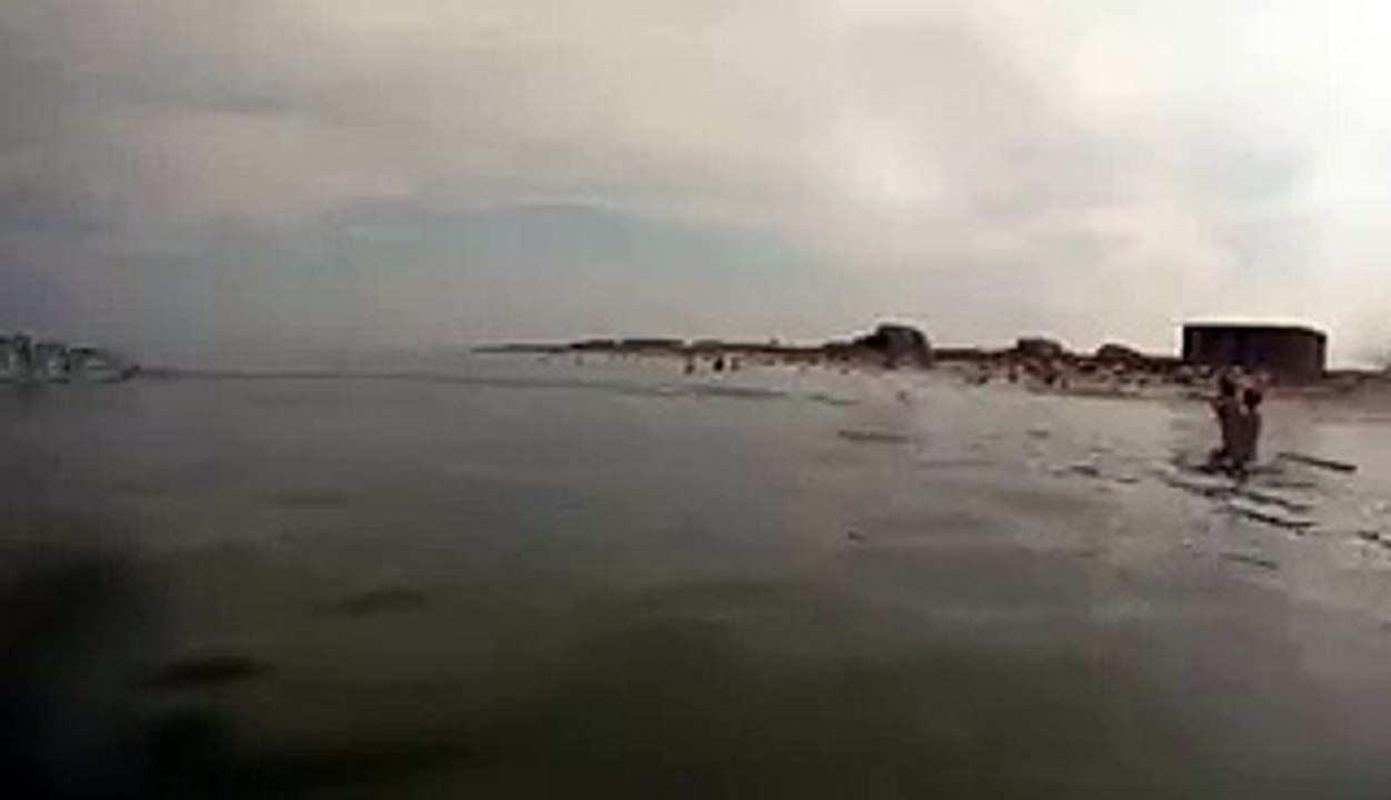 fish videos