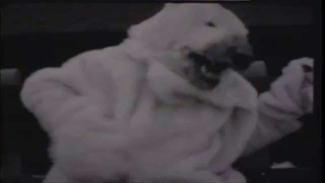 Grauzone Eisbär (Jesús Vögel Remix)