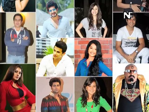 Puneet & Rishab Confirmed Wild Card Entries in Bigg Boss 9!