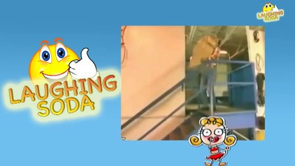Funny Workplace Accidents - LAUGHING SODA