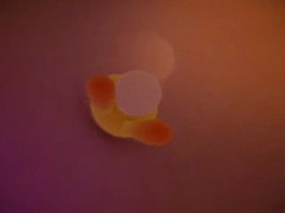 Titou le lapinou-Les gros mots