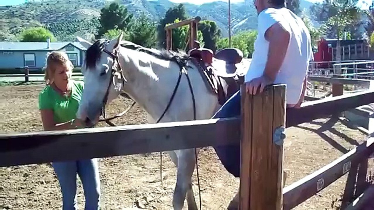 drunk rider