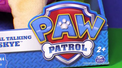 PAW PATROL Nickelodeon Paw Patrol Skye & Chase Talking Figures Paw Patrol Toy Video