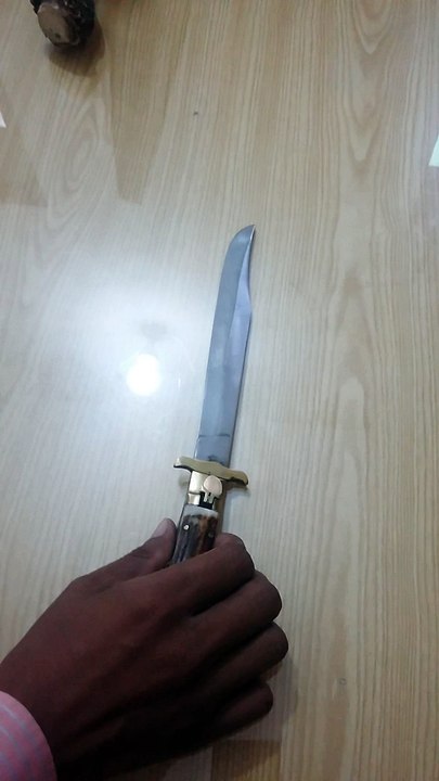 Cobra Bowie Hunting Knife