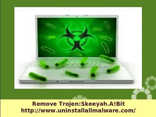 Delete Trojen:Skeeyah.A!Bit permanence from the infected system