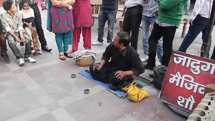 Great Indian Street Magic