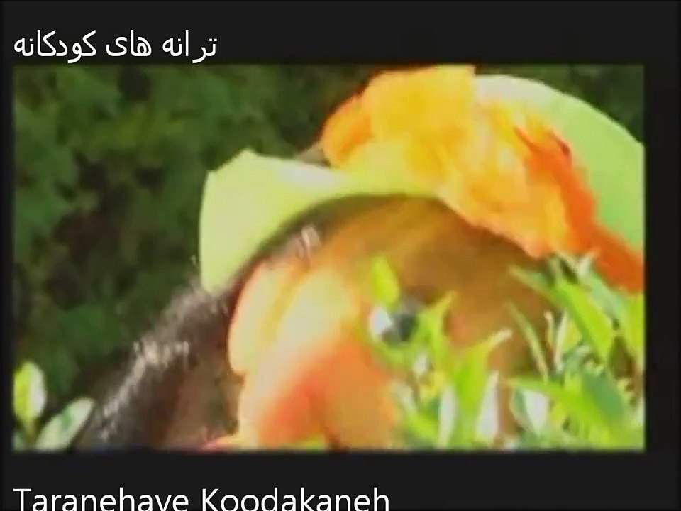 Ahuee daram khoshgeleh آهویی دارم خوشگله Cartoon Farsi