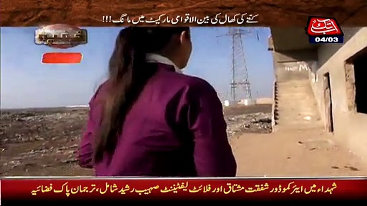 Dog meat cutting in Karachi