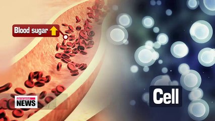 Korean scientists discover insulin-inducible protein