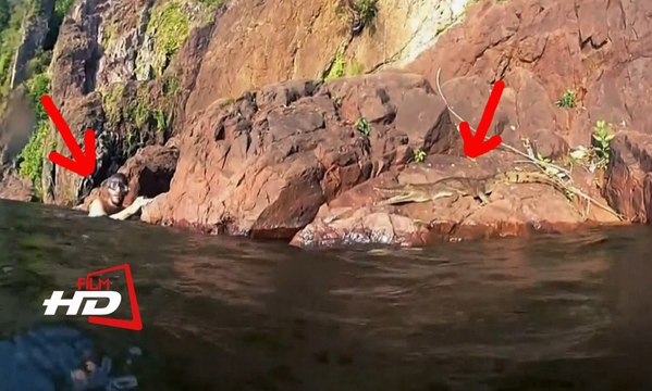 Крокодил прыгнул на любопытных туристов / Шведские туристы стали жертвами нападения крокодила