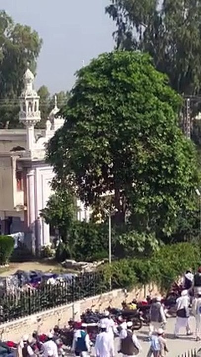 mulana sher ali shah janaza (6)