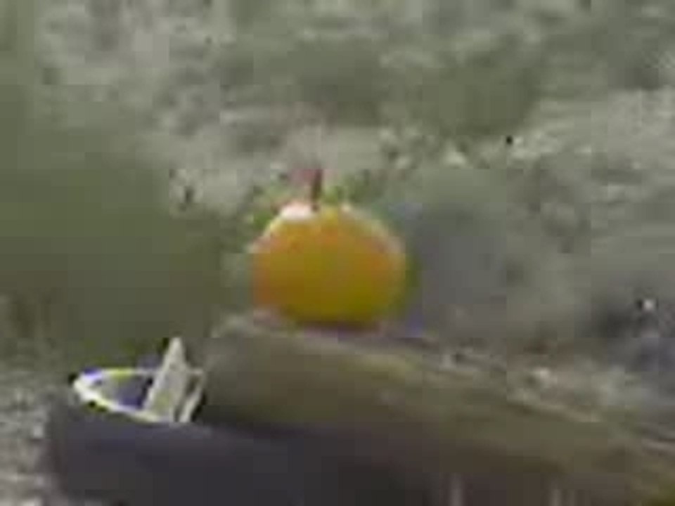 pumpkin hunting
