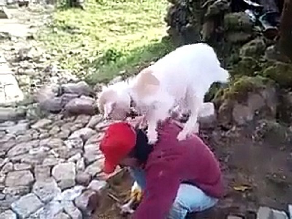 Bu Bisiklet Bi Başka - Komik videolar - Funny videos