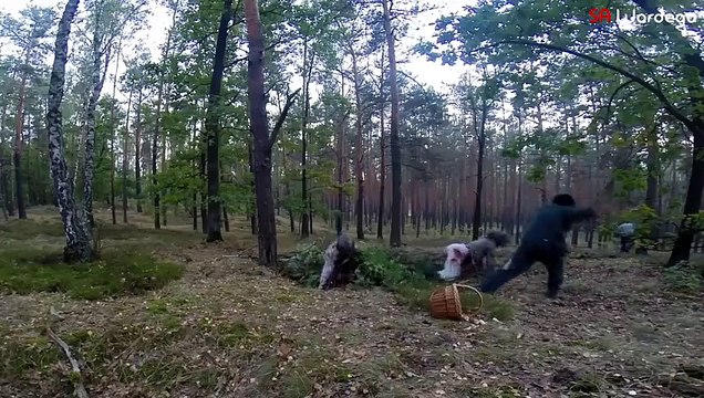 Damat, Makjayla Kendini Yaşlandıran Gelini Düğün Günü Terk Etti! - Komik videolar - Funny videos