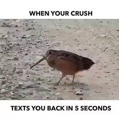 That Feeling When Your Crush Text You Back in 5 Seconds - Hahahaha