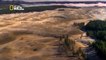 La louve de Yellowstone - Documentaire animalier - wild life animals documentary HD