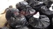 Tepelenë, sekuestrohen 140 kg kanabis në 24 thasë, 1 i arrestuar, 3 në kërkim- Ora News