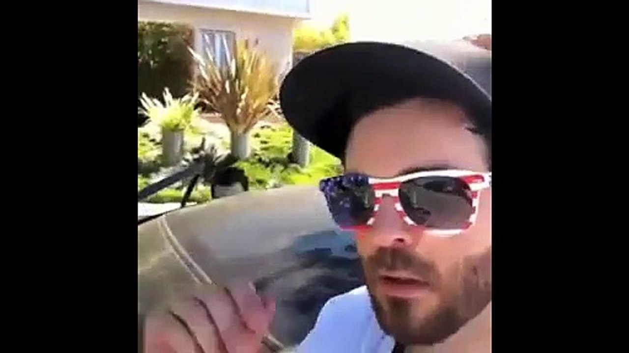 Best Dog Vines