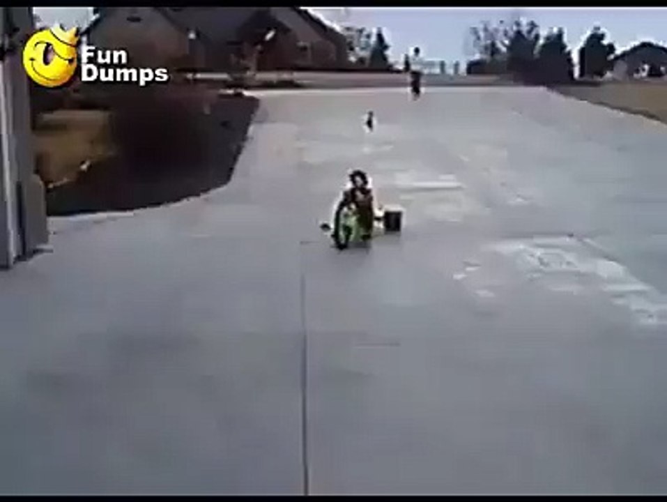 Fun Dumps