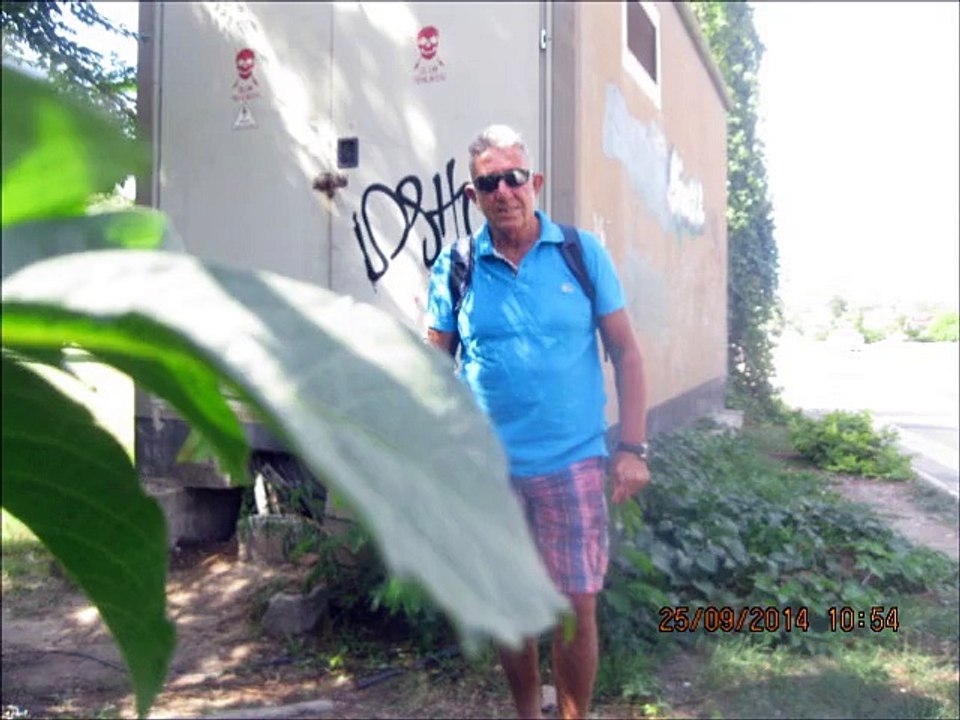 ANDY WILLIAMS  -LOVE STORY