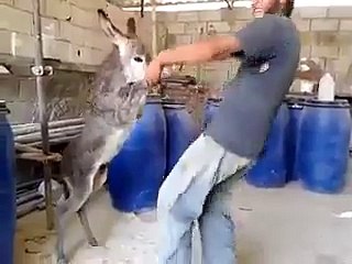 funny dance ;';';';';';',./,/,./,./,./';l/,.