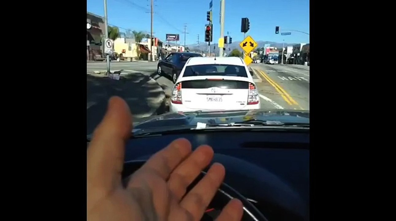 Arnold Schwarzeneggers Best Driving Vines