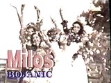 Milos Bojanic - Reklama 1994
