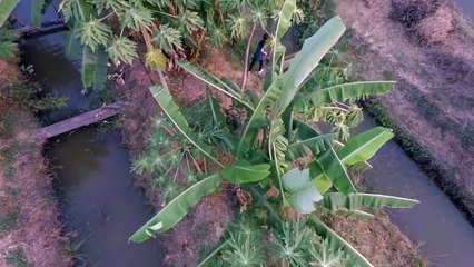 Discover the Faculty of Science & Technology at Thammasat University 🌟