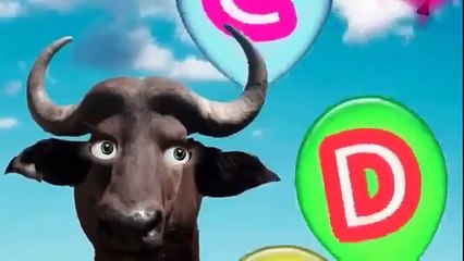 Alphabet Song Baa Baa Black Sheep African buffalo 2