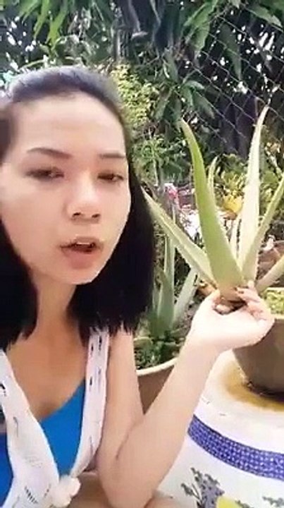 Thy Sreyhuong Real