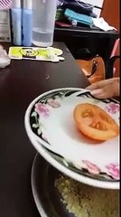 Tomato face scrub mon pel jol keng