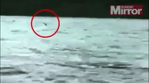 Is this NESSIE? Could this New Video Footage Prove the Existence of the Loch Ness Monster?
