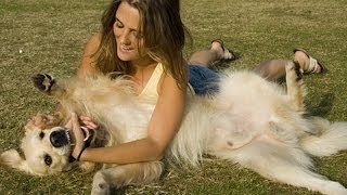 Dogs meet their owners after long time Dog compilation