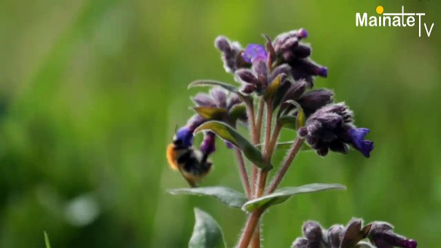Court metrage Seuils de Ariane LAMARSAUDE