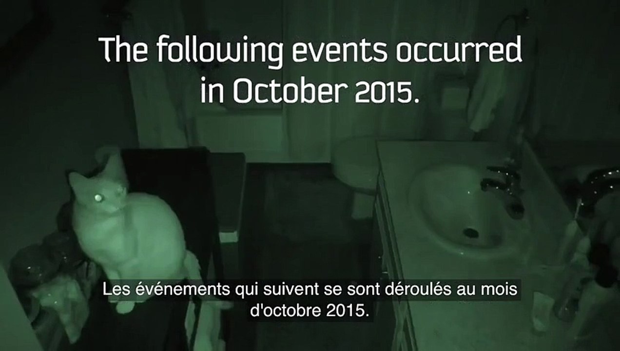 Il place des caméras pour savoir ce que font leurs chats quand ils dorment