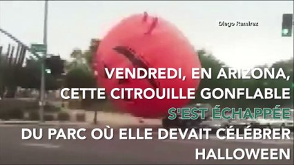 Quand une citrouille gonflable géante s'échappe en Arizona... ça donne un remake version Halloween de l'Attaque de la moussaka géante