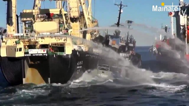 Entretien avec PAUL WATSON fondateur de Sea Shepherd