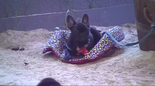 Aylén y Marco, Amor a prueba Cap 49 (16.02.15) Parte #4 (Carinho)