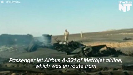 Russian Airliner Crash Kills 224